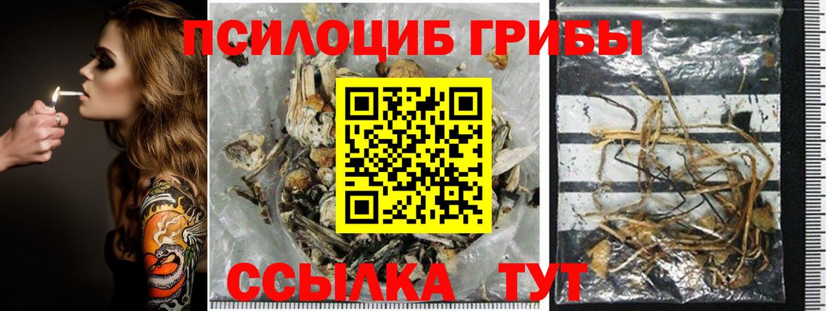 Псилоцибиновые грибы GOLDEN TEACHER Чита